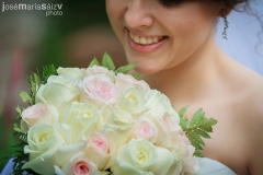 stock-photo-29433065