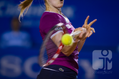 tennis_amt0__JMS4169