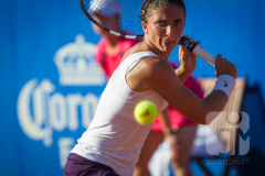 tennis_amt0_se_JMS9516