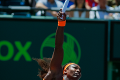 tennis_mo2_bookEne17_0009